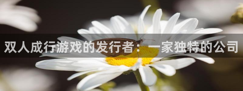 杏耀官网挂机项目怎么样：双人成行游戏的发行者：一家独特的公司
