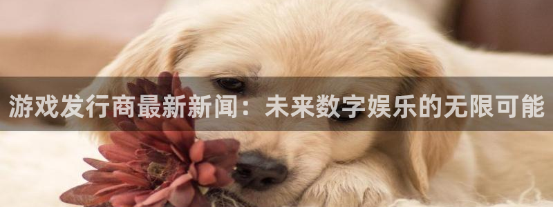 杏耀子年度最佳图书：游戏发行商最新新闻：未来数字娱乐的无限可能