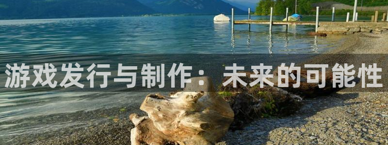 杏耀官网的钱能提出来吗：游戏发行与制作：未来的可能性