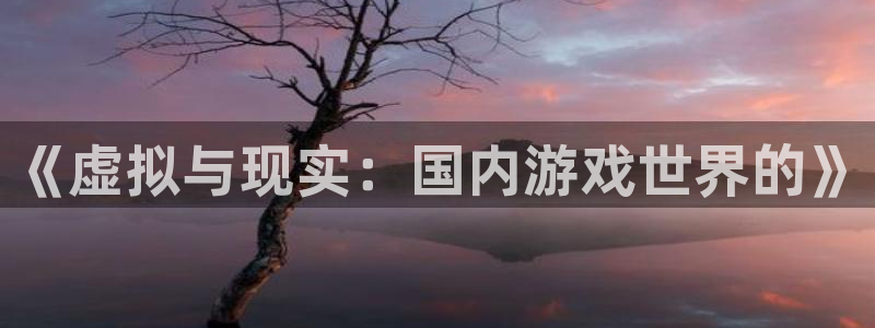杏耀官网主管他494o3 主管：《虚拟与现实：国内游戏世界的》