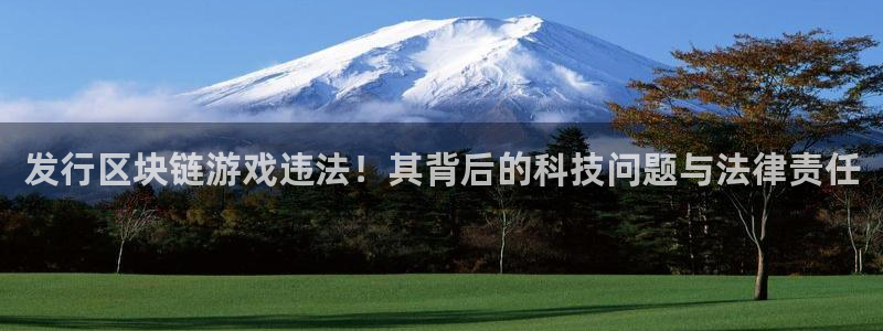 杏耀电子科技股票：发行区块链游戏违法！其背后的科技问题与法律责任