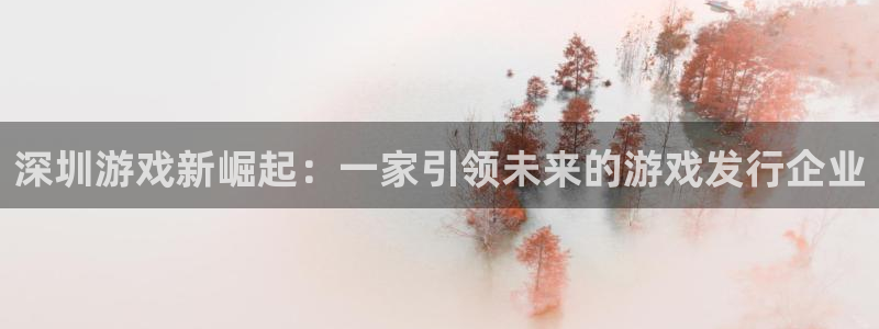 杏耀衣服怎么样：深圳游戏新崛起：一家引领未来的游戏发行企业