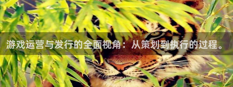 杏耀子年度最佳图书