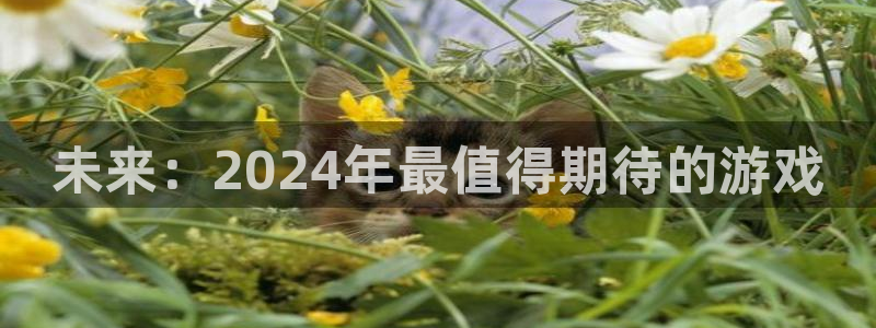 杏耀集团董事长刘一辰简历