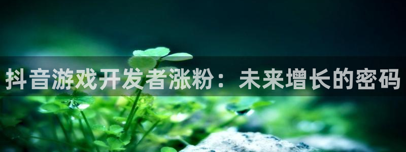 杏耀子音乐：抖音游戏开发者涨粉：未来增长的密码