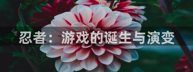 杏耀子文化有什么游戏：忍者：游戏的诞生与演变