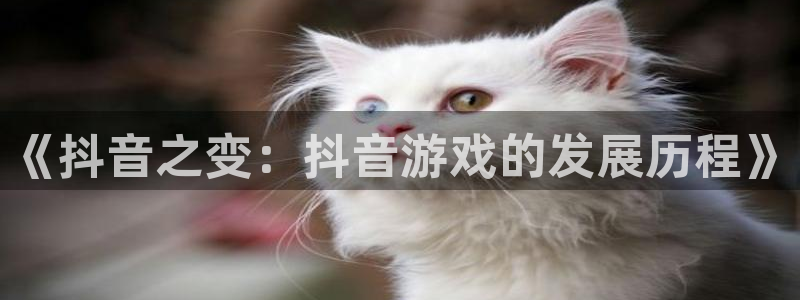 杏耀官网代理开号多少钱：《抖音之变：抖音游戏的发展历程》