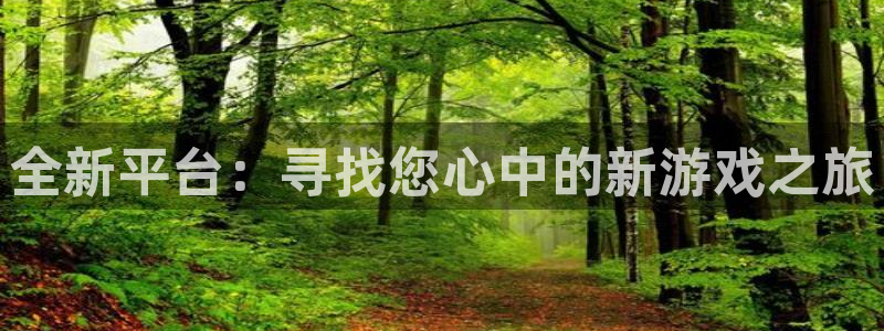 广州杏耀网络科技有限公司招聘