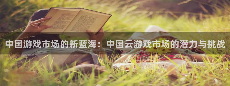 长沙杏耀子电子商务有限公司