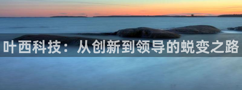 陕西杏耀子文化创意是干什么的